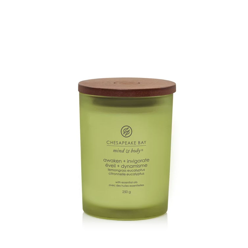 Chesapeake Bay Candle - Medium 250gr - Lemongrass Eucalyptus (Éveil & Dynamisme)