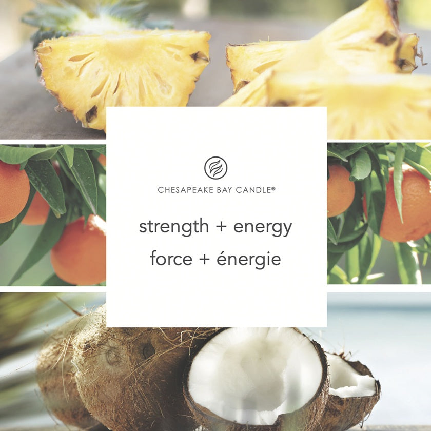 Chesapeake Bay Candle - 3 mèches 312gr - Pineapple Coconut (Force & Énergie)