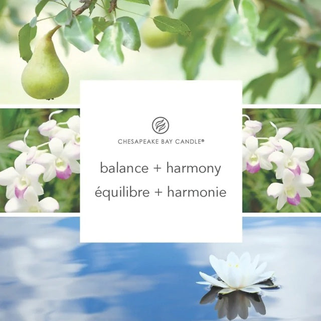 Chesapeake Bay Candle - Large 355gr - Waterlily Pear (Équilibre & Harmonie)
