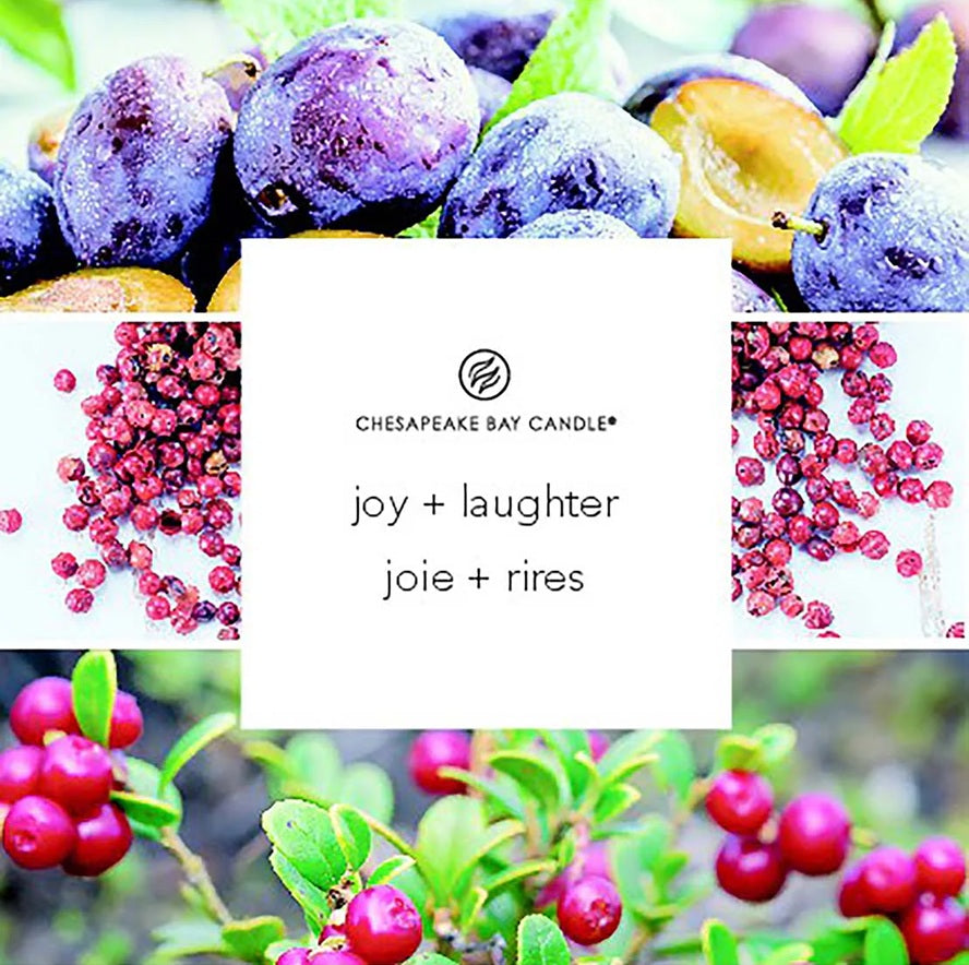 Chesapeake Bay Candle - 3 mèches 312gr - Cranberry Dahlia (Joie & Rires)