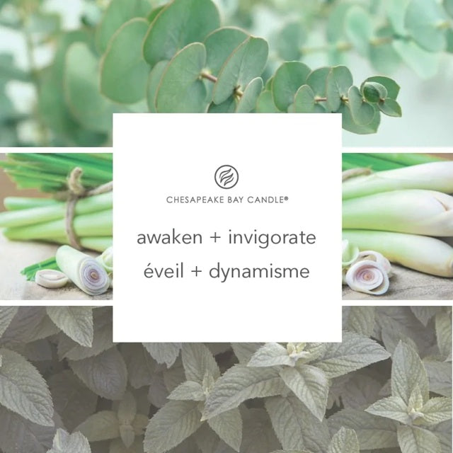 Chesapeake Bay Candle - Medium 250gr - Lemongrass Eucalyptus (Éveil & Dynamisme)