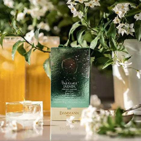 Dammann Frères - Thé vert au Jasmin Chung Hao - 6 sachets (pour thé glacé) (DDM 04/2026)