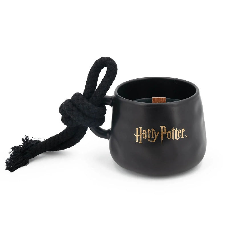Harry Potter Bougie parfumée Hogwarts 200gr mèche en bois