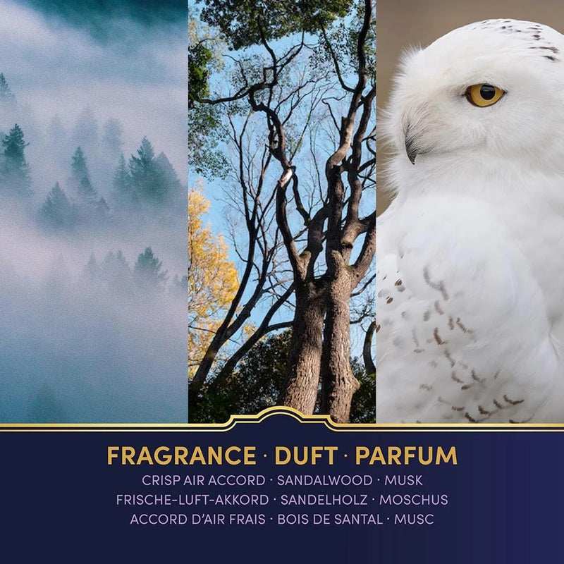 Harry Potter bougie parfumée Hedwige composition