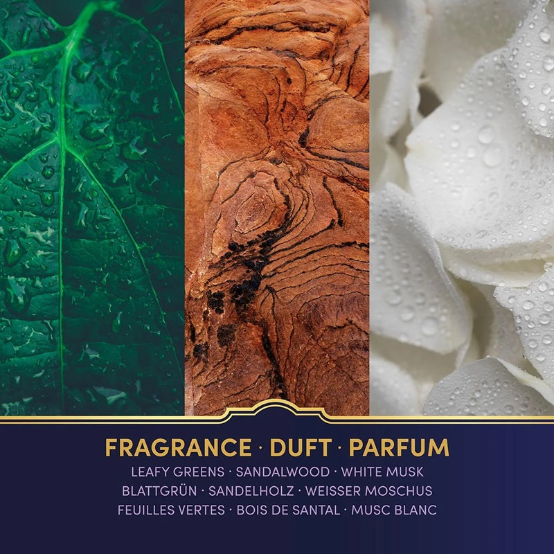 Harry Potter bougie parfumée Carrousel Hogwarts composition