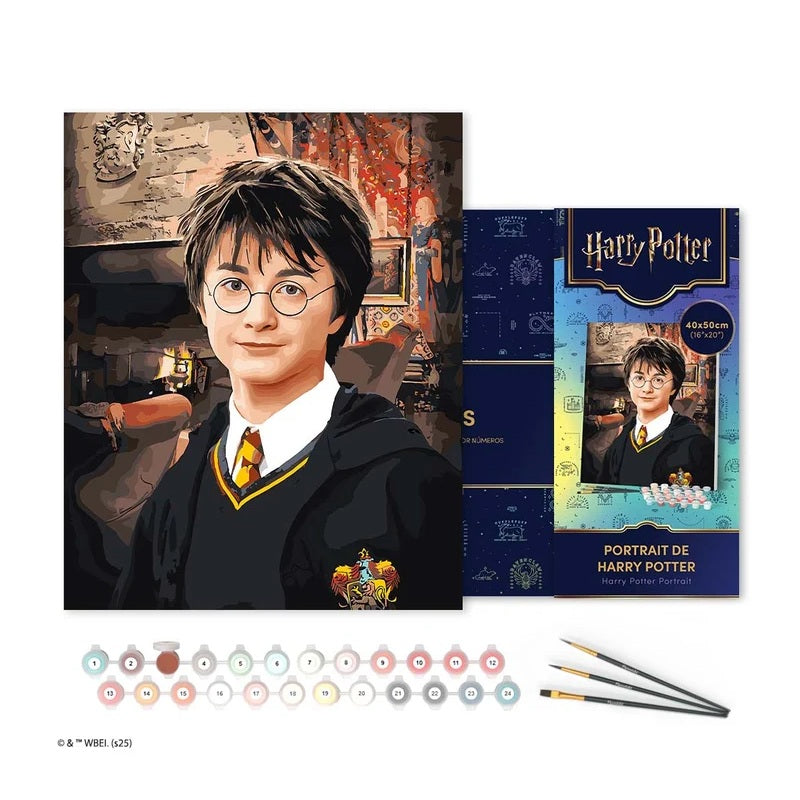 Peinture par numéros - Châssis 40x50cm- Portrait de Harry Potter