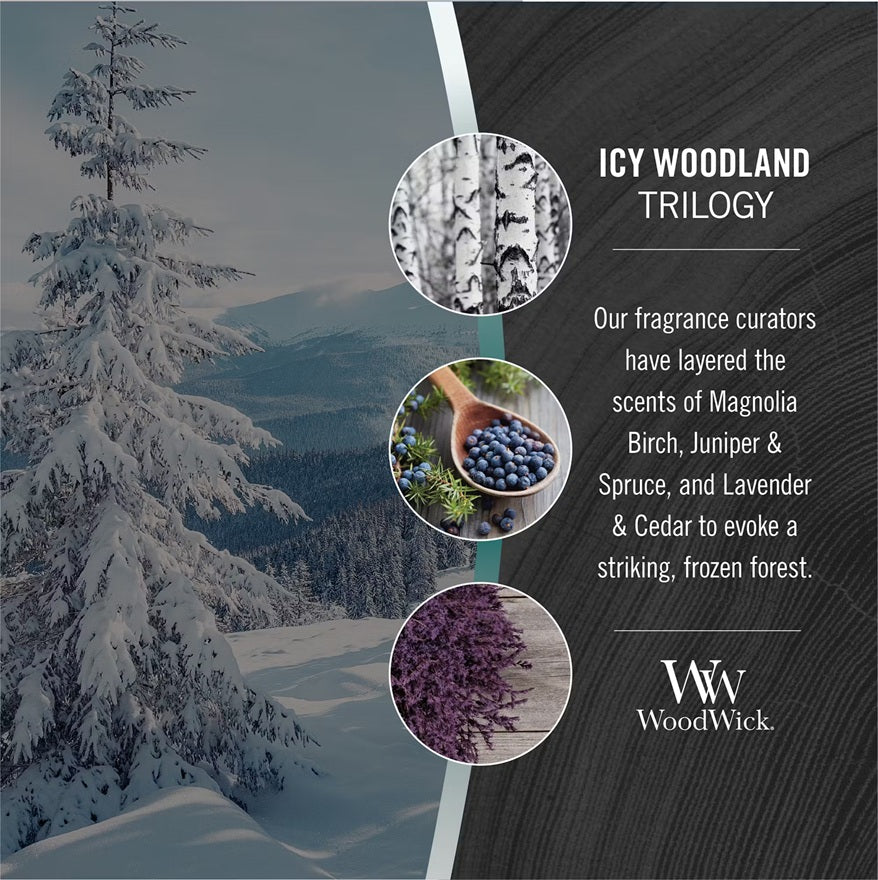 Woodwick Icy Woodland Trilogy