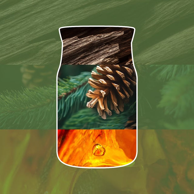 Yankee Candle Balsam & Cedar Fireside 368gr - Medium Signature à 2 mèches