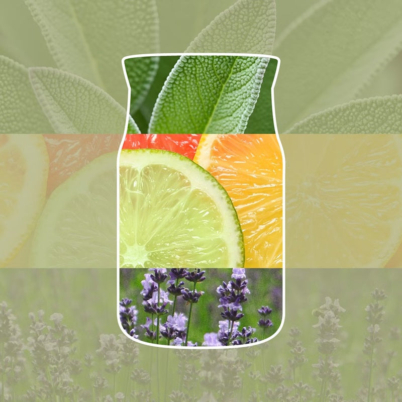 Yankee Candle Car Jar Ultimate - Sage & Citrus