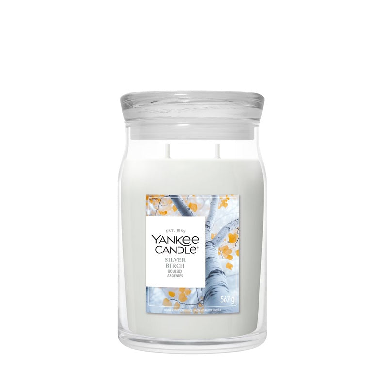 Yankee Candle Silver Birch 567gr - Large Signature à 2 mèches
