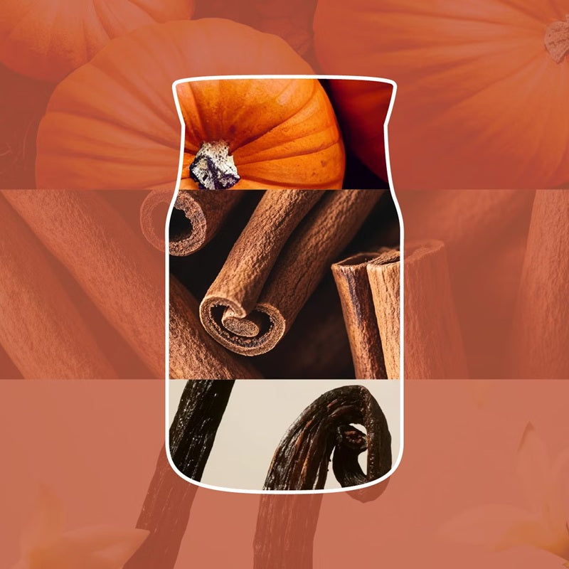 Yankee Candle Spiced Pumpkin 567gr - Large Signature à 2 mèches