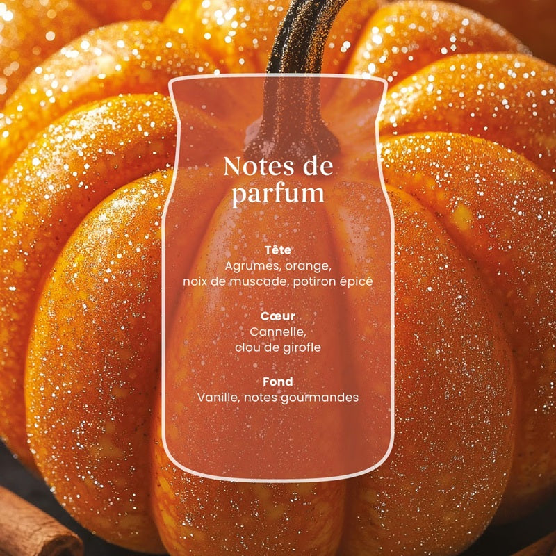 Yankee Candle Spiced Pumpkin 567gr - Large Signature à 2 mèches
