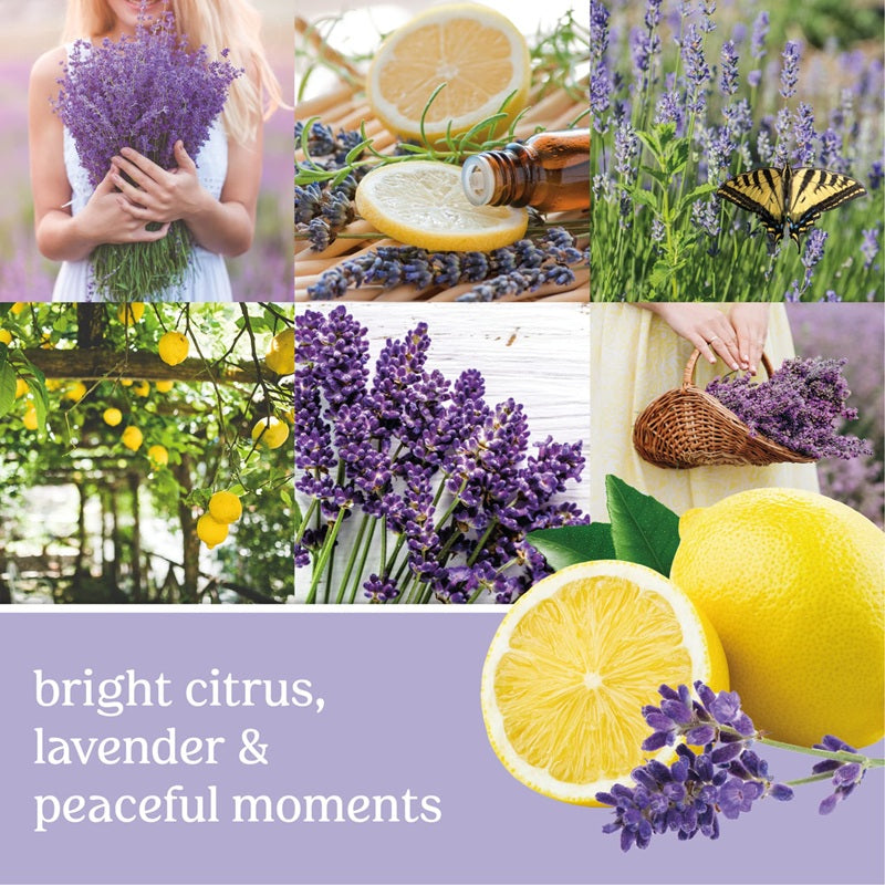 Yankee Candle Lemon Lavender 122gr - Small Tumbler