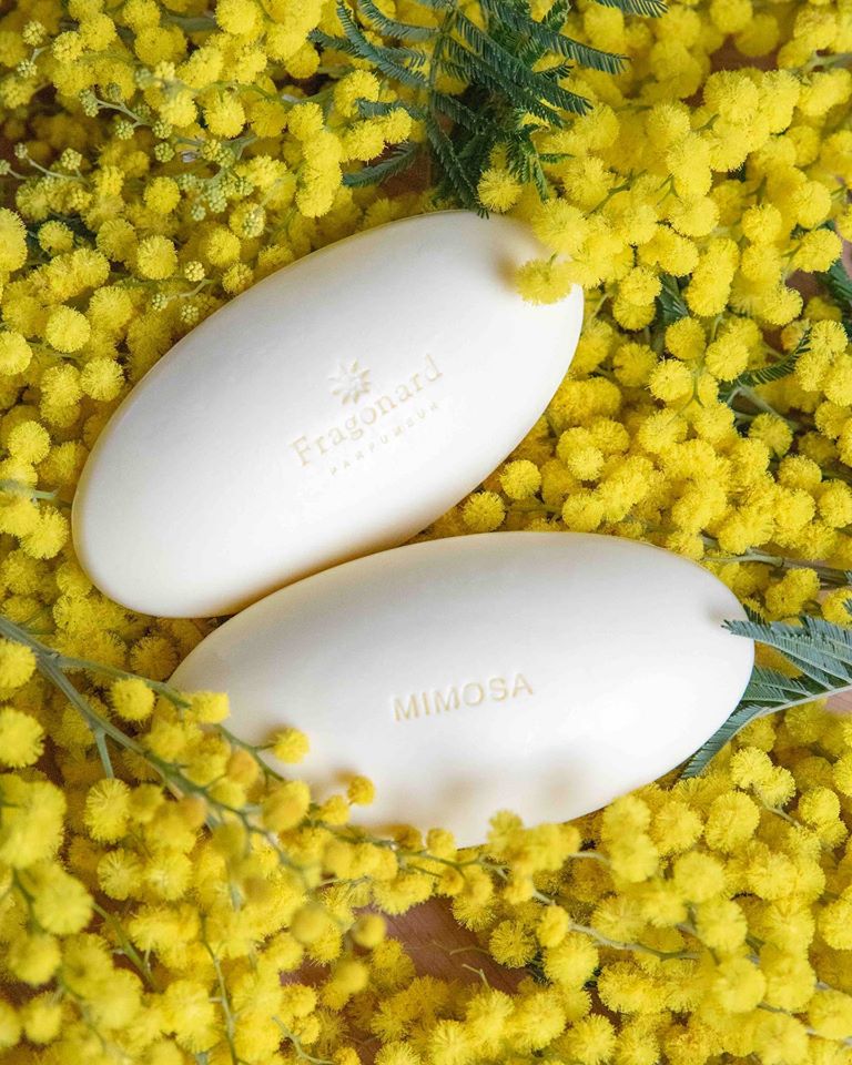 Fragonard Savon galet 140gr - MIMOSA