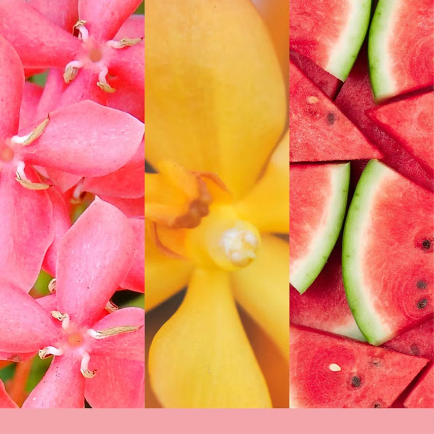 Yankee Candle Pink Sands
