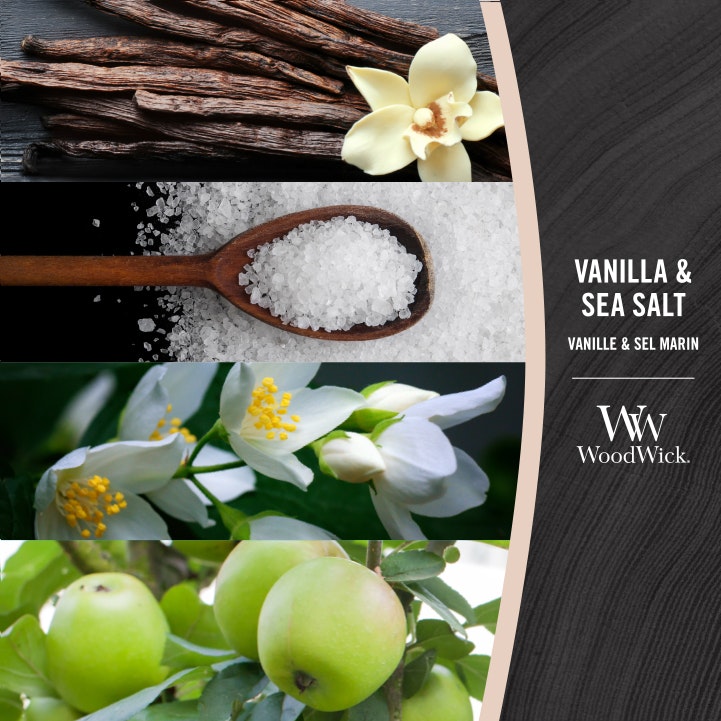 Woodwick Vanilla & Sea Salt