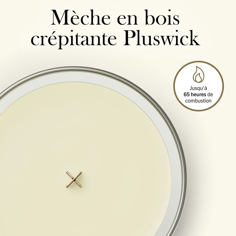Woodwick Pamplemousse Luxuriant medium