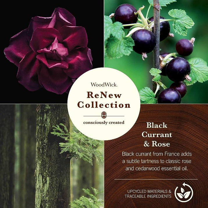 Woodwick Black Currant & Rose