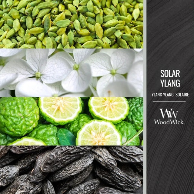 Woodwick Solar Ylang