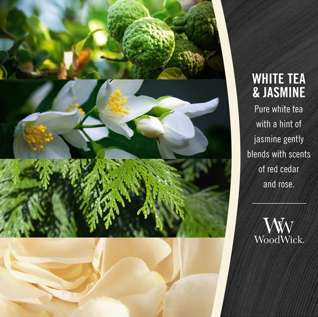 Woodwick White Tea & Jasmine