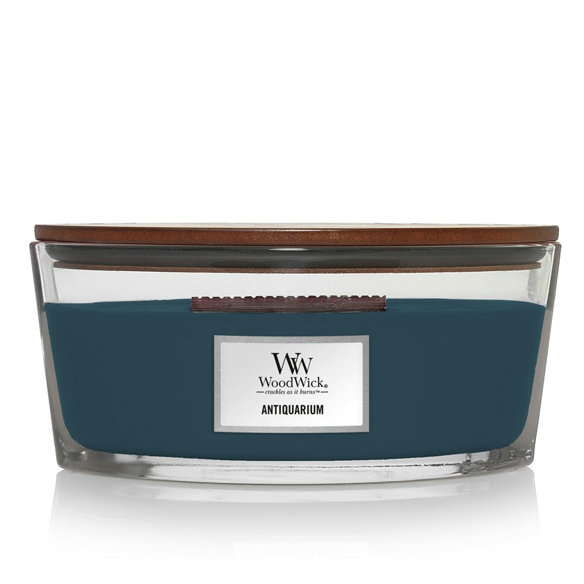 Woodwick Antiquarium Ellipse