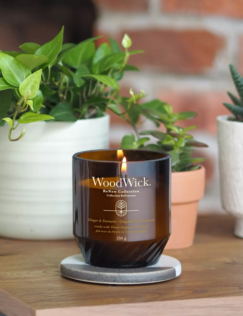 Woodwick Ginger & Turmeric Medium