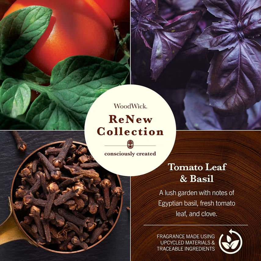 Woodwick Renew Large Tomato Leaf & Basil (Feuille de Tomate & Basilic) 368gr