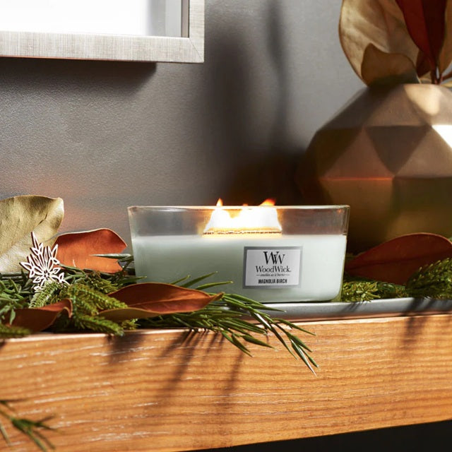 Woodwick Ellipse Magnolia Birch (Bouleau & Magnolia) 453gr